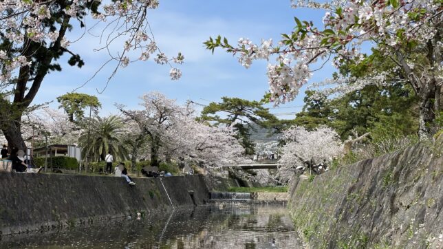 夙川河川敷公園