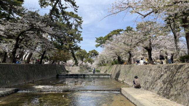 夙川河川敷公園